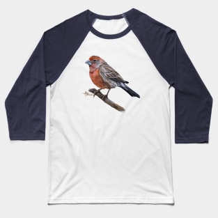 Perched Male House Finch Baseball T-Shirt